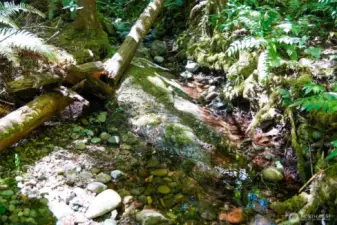 seasonal creek