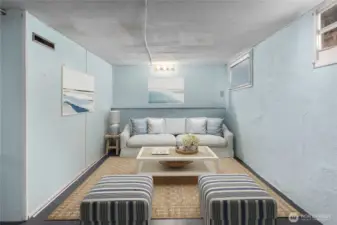 Lower level rec-room family room - or is a flexible space for brewing, art studio or whatever your needs demand.