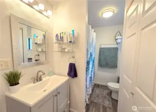 Downstairs full bath