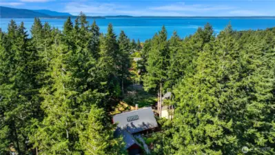 Look at that fabulous Bellingham Bay Water View!   This is the best of both worlds, secluded and private, surrounded by nature with a water view from every upper level bedroom .      Look at that fabulous Bellingham Bay Water View!