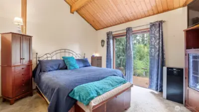Primary bedroom with walk-in closet and slider to backyard.