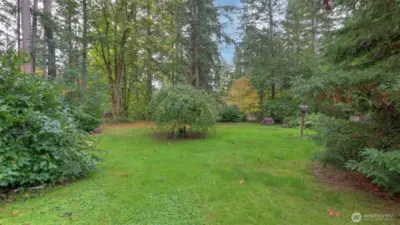 Level yard with fruit trees & garden space.