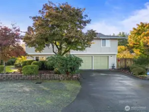 Mature Greenery Adds Plenty of Privacy