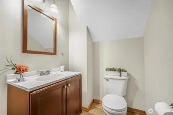 Half bathroom on lower floor