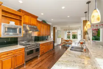 Chef's Dream Kitchen