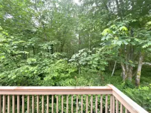 Far corner of the deck connects to the green belt and side yard.  Plenty of privacy and room for a hike.