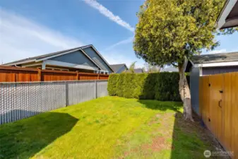West Side Yard