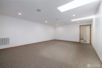 Upstairs bonus room with skylights