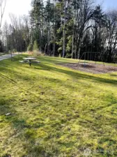 Park