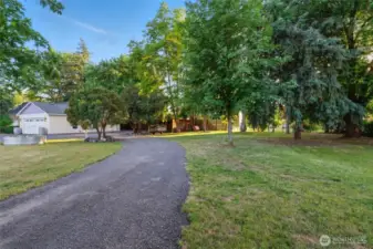 East Side Driveway