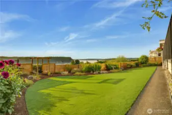This perfectly green grass is professionally installed turf.  The little pergola leads to a garden area.
