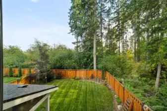Private backyard