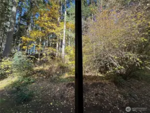 View out the window in the primary bedroom