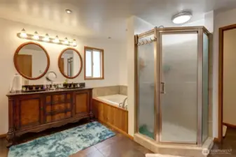 Master bedroom bathroom