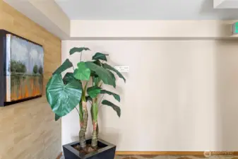 Eighth-floor arrival. A cared-for landing and clear wayfinding—small details that make coming home feel easy.