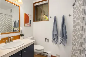 Lower level full bathroom
