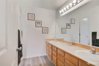 Compartmentalized bathroom with large dual sink vanity & separate room with big shower & commode