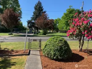 Fern Hill Park across the street from home