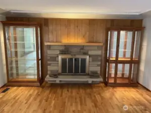 Lighted cabinets and fireplace in living room