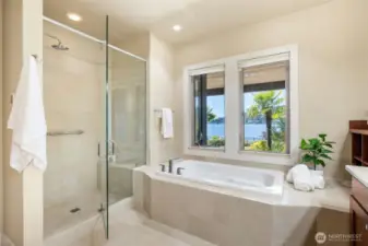 Spa-like soaking tub wtih a view