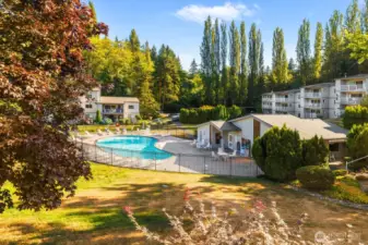 View from your Primary bedroom window - lots of trees, sunshine, community pool and clubhouse