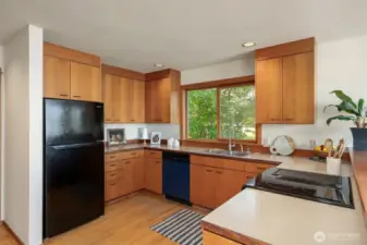 Brand new refrigerator and dishwasher