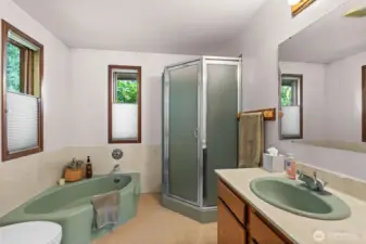 Master bath (Main)