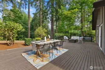 Sunny and bright entertainment size deck can handle the crowds!