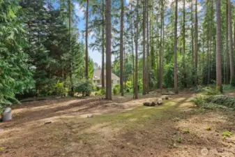 Forest Bathe to your hearts content in your own private evergreen forest!