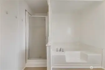 Primary bathroom and soaking tub