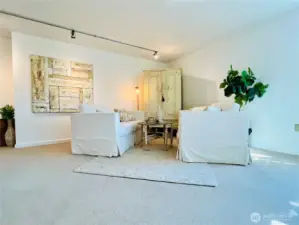 More art gallery lighting in the living room area