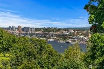 Another view from the park, neighbors pitch in to maintain this special view point. Below are wooded trails and sections are being rennovated with native plantings.