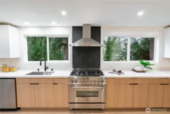 Nice new appliances, cabinets and quartz tops.