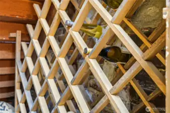 Don't miss the wine storage in the kitchen! Underneath the stairs