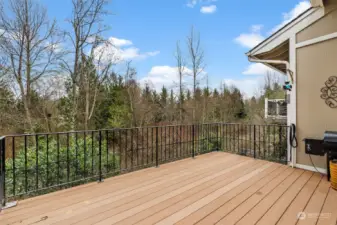 Main Level deck (Trex) off dining area facing the landscapes of Clarks Creek Park