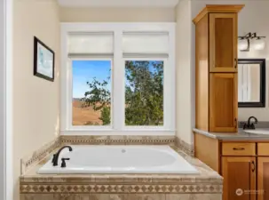 Primary ensuite - soaking tub with views ...