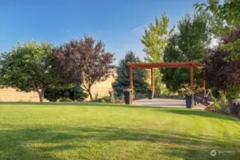 Patio at edge of yard - before the slope towards fields