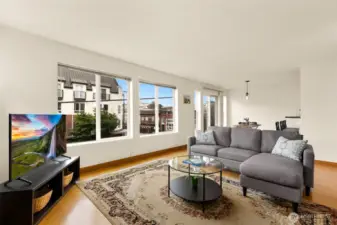 south facing windows