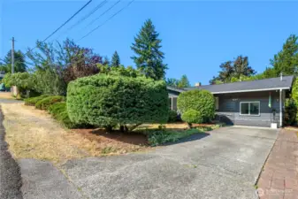 Mature landscaping