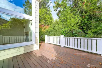 The private deck is spacious and leads to the small back yard. Note ALL of the windows in this condo are newer. And decks are owned and maintained by the condo owners.