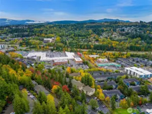 The Willowwood complex is nestled in the Sehome neighborhood, conveniently close to shopping, dining, bus lines, and Western Washington University and is an affordable option for owner occupancy or an investment/rental.