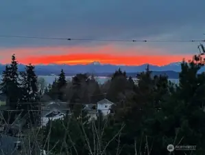 Come see this beauty!