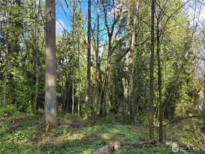 Southwest corner of the lot at the end of 53rd Ave South.