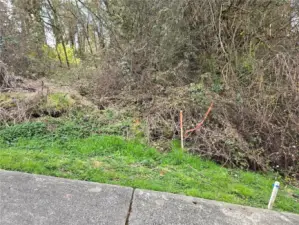 Southeast corner, this is the best location for a driveway to go into the home site.