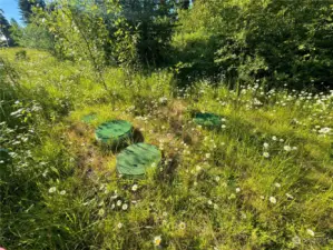 4-Bdrm septic installed