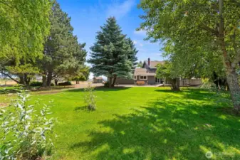 Front lawn