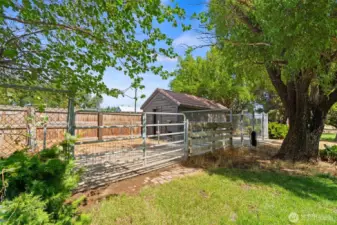 Dog run/chicken coop