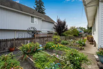 mature flower beds