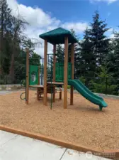 Community Playground