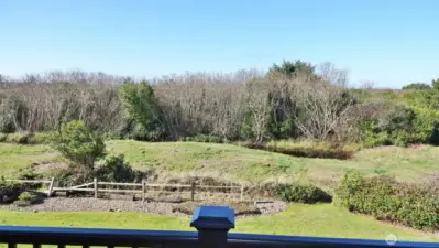 View from #206's deck.  View of the Dunes and peak-a-book views of the Ocean.